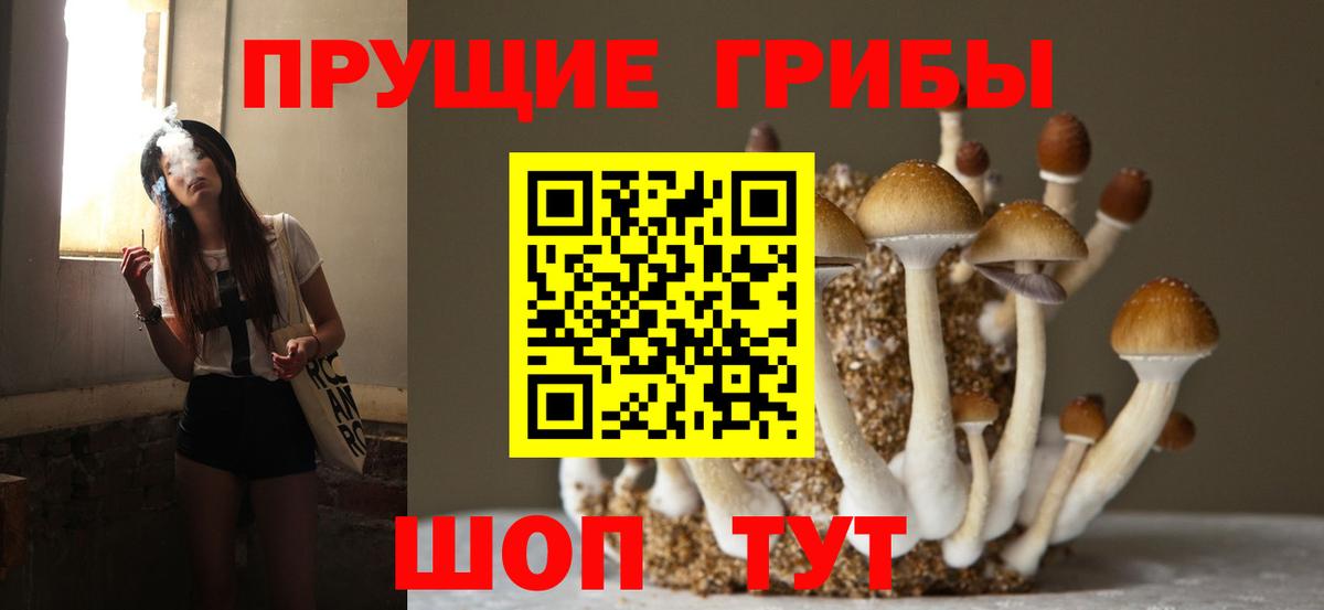 Галлюциногенные грибы мухоморы  закладки  Лесозаводск  Вход с VPN 
